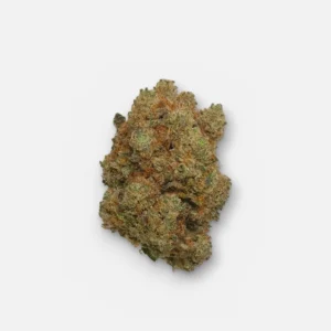 Gelato_studio Gelato 9% CBD kaufen
