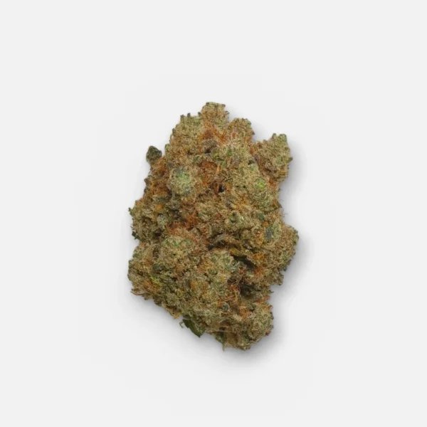 Gelato_studio Gelato 9% CBD kaufen