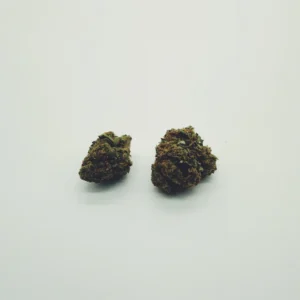GirlScoutCookies-F2VSCO-scaled (1) CBD Flowers Girl Scout Cookies