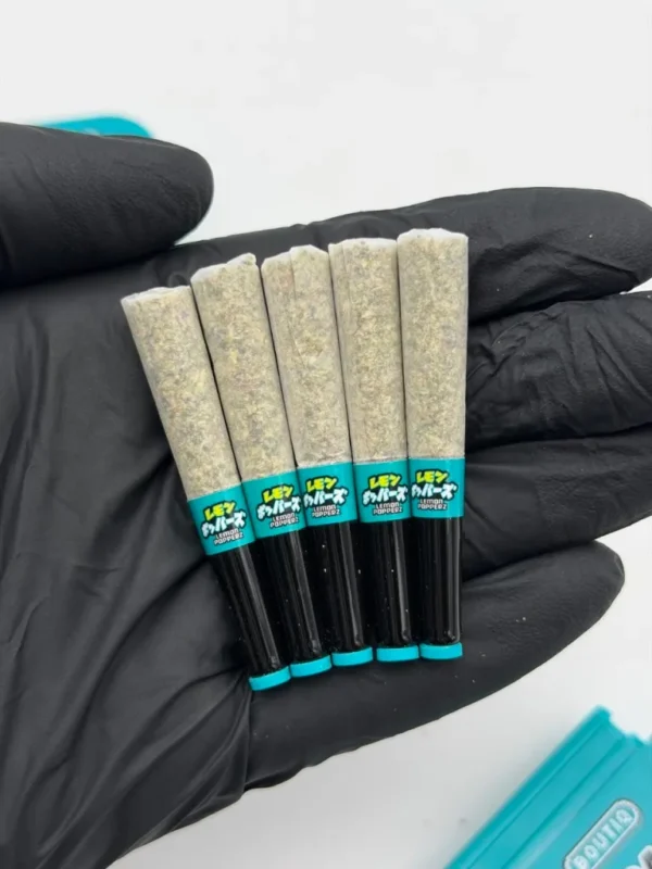 Snack Pack Pre Rolls