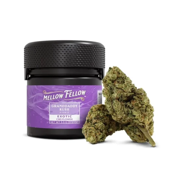 Black Cherry Soda CBD Blüte