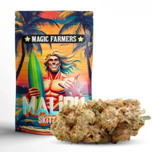 Malibu Skittlez 30% CBN+ Blüte